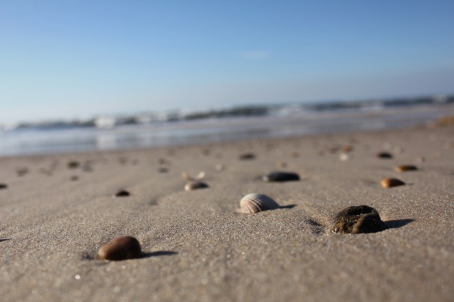praia do osso da baleia