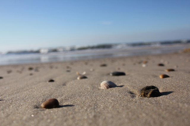 praia do osso da baleia