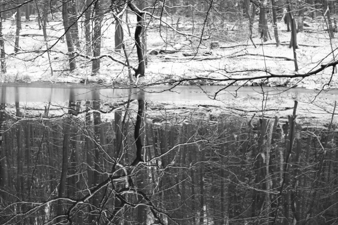 Darmstadt in the snow